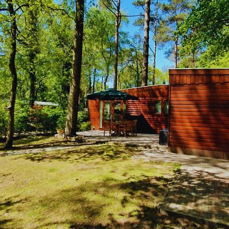 Wooden Nature Chalet - Dennenrhode Doornspijk Villa Eksteriør bilde