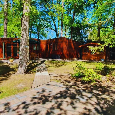 Wooden Nature Chalet - Dennenrhode Doornspijk Villa Eksteriør bilde
