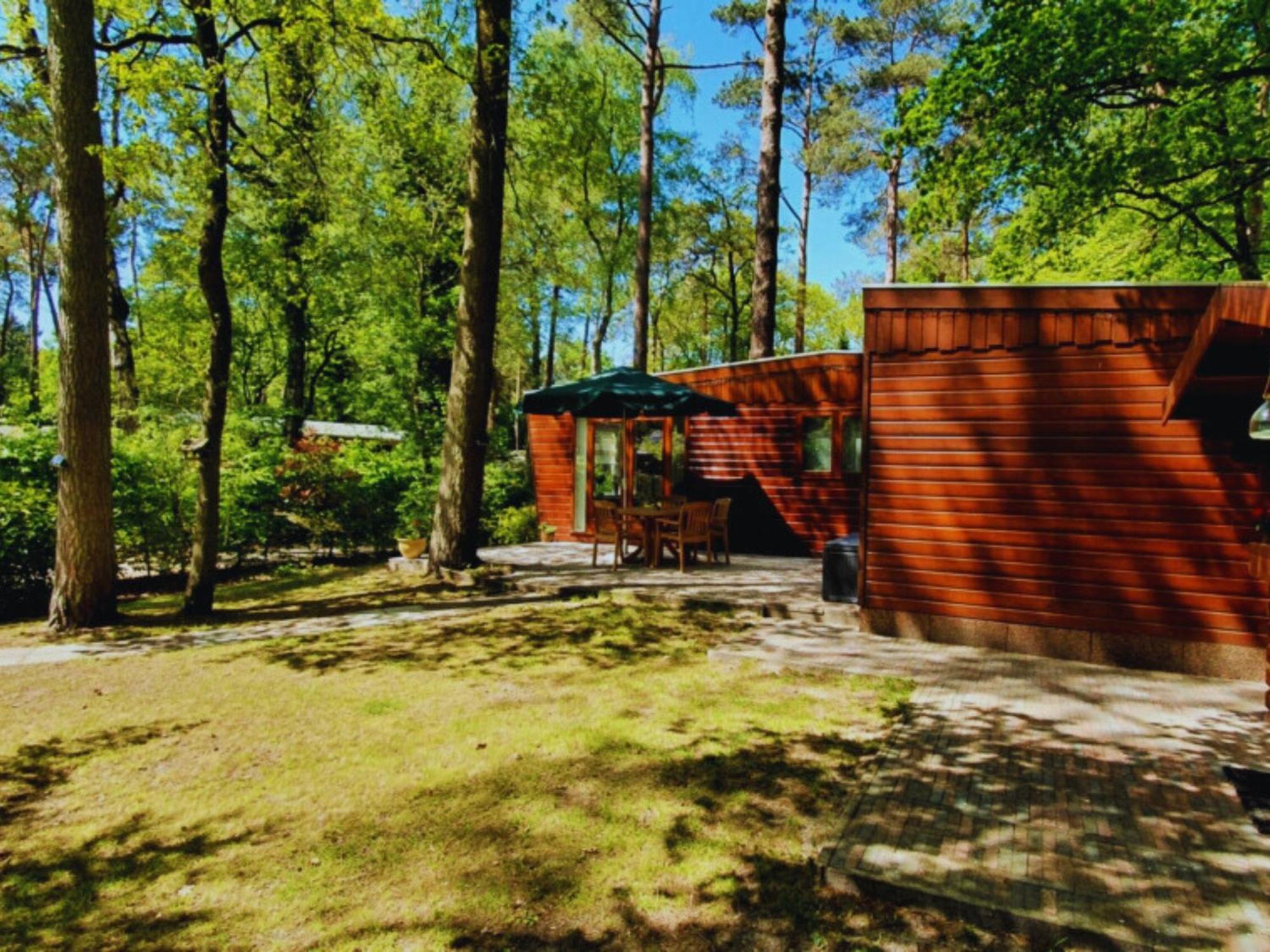 Wooden Nature Chalet - Dennenrhode Doornspijk Villa Eksteriør bilde