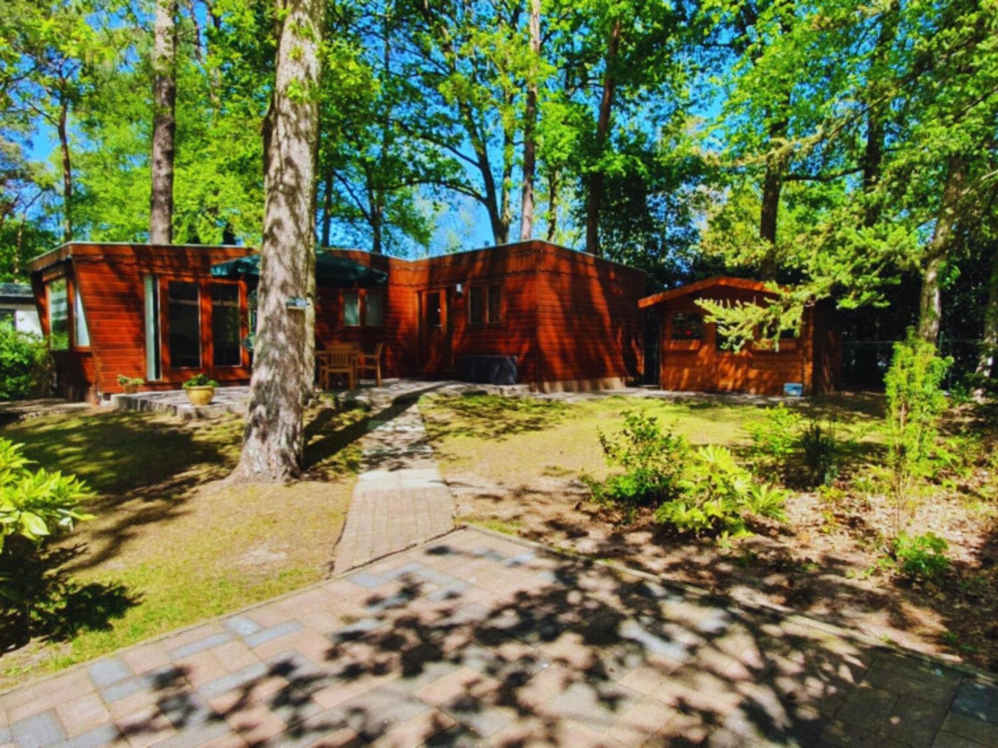 Wooden Nature Chalet - Dennenrhode Doornspijk Villa Eksteriør bilde